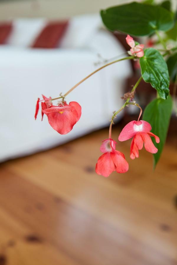 Whitford House And Twin View Barn Bed & Breakfast Addison Bagian luar foto
